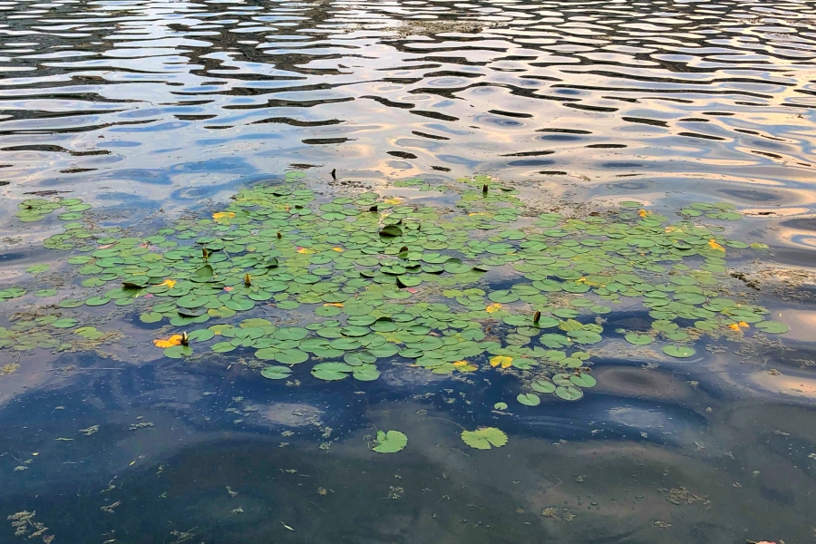 研究人員研究表明降雨侵蝕力對河流輸沙量影響最大